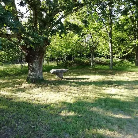 Buelina Da Carballeira * Teo